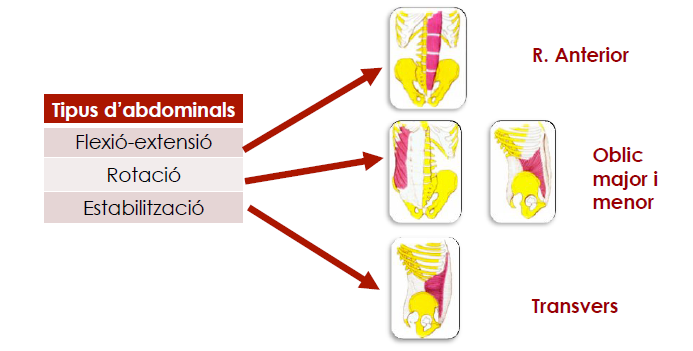 Entrenador personal Mallorca